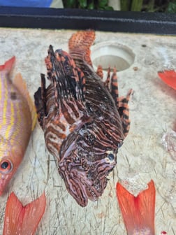 Fishing in Vero Beach, Florida