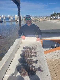 Fishing in Jacksonville, Florida