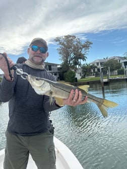 Fishing in Sarasota, Florida