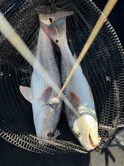 Fishing in Rockport, Texas