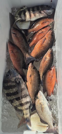 Fishing in Vero Beach, Florida