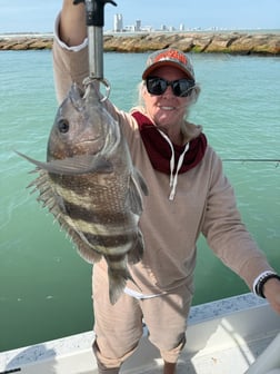 Fishing in South Padre Island, Texas