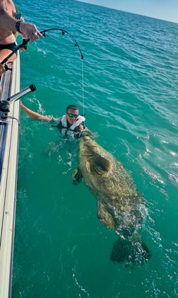 Fishing in Naples, Florida