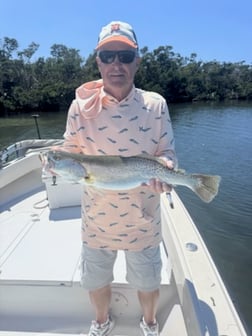 Fishing in Bradenton, Florida