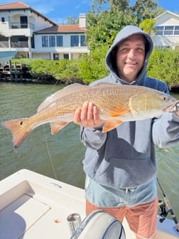 Fishing in Sarasota, Florida