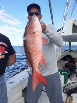 Fishing in Micco, Florida