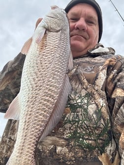 Fishing in Bay St. Louis, Mississippi