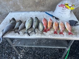 Fishing in Port Orange, Florida