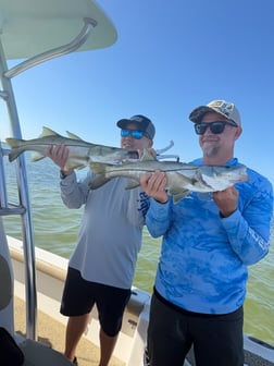 Fishing in Tampa, Florida