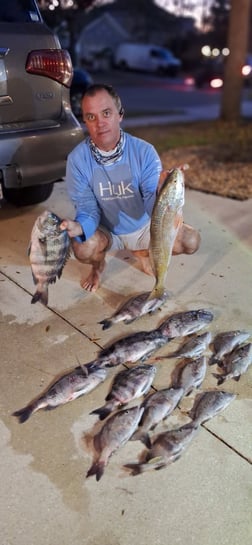 Fishing in Sarasota, Florida