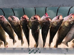 Fishing in Erie, Pennsylvania