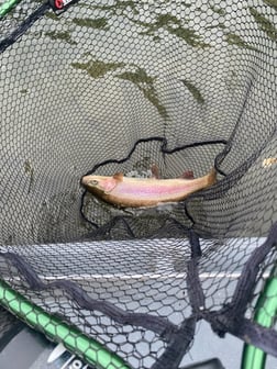 Fishing in Florence, Oregon
