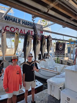 Fishing in Islamorada, Florida