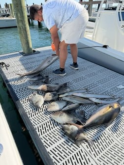Fishing in Morehead City, North Carolina