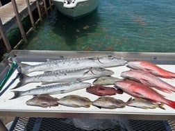 Fishing in Riviera Beach, Florida