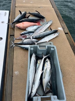 Fishing in Key West, Florida