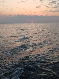 Fishing in Lafitte, Louisiana