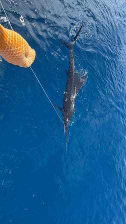 Fishing in Quepos, Costa Rica