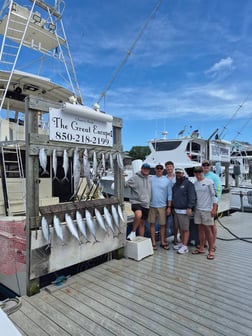 Fishing in Destin, Florida
