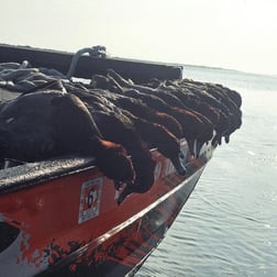 Hunting in Aransas Pass, Texas