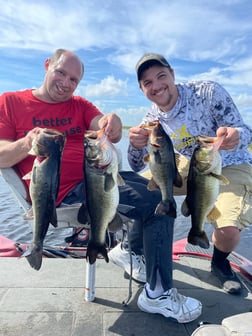 Largemouth Bass Fishing in Lake Okeechobee, Florida
