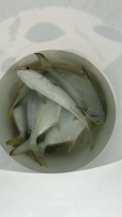 Fishing in Niceville, Florida