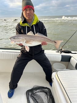 Fishing in League City, Texas