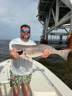 Fishing in Gulf Shores, Alabama