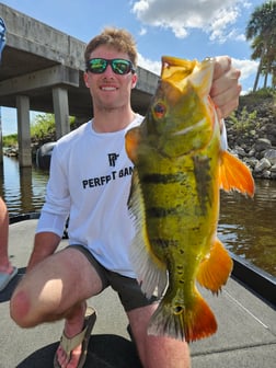 Fishing in Fort Lauderdale, Florida