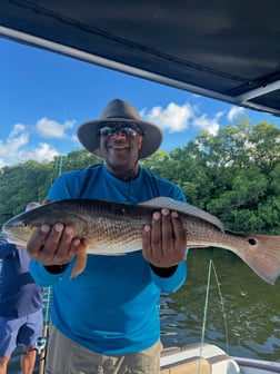 Fishing in Tarpon Springs, Florida