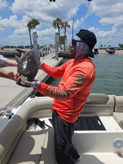 Fishing in St. Augustine, Florida