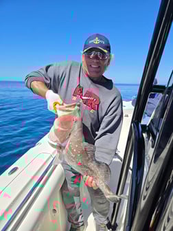 Fishing in Sarasota, Florida