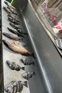 Fishing in D'Iberville, Mississippi