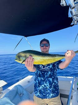 Fishing in Venice, Florida
