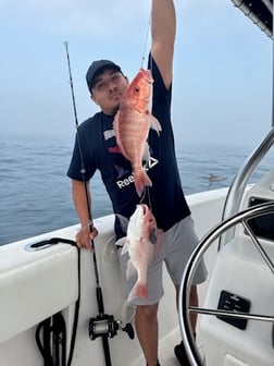 Fishing in Weslaco, Texas