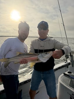 Fishing in St. Petersburg, Florida