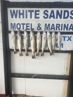Fishing in Port Isabel, Texas