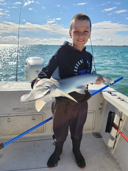 Fishing in Sebastian, Florida