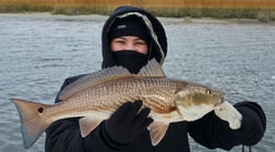 Fishing in North Charleston, South Carolina