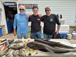 Fishing in St. Marys, Georgia