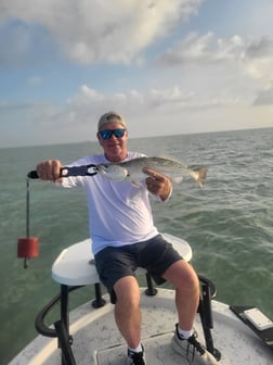 Fishing in South Padre Island, Texas