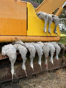 Hunting in Garwood, Texas