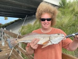 Fishing in Sarasota, Florida