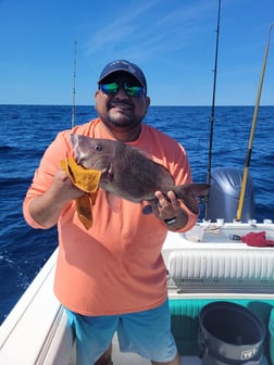 Fishing in Wrightsville Beach, North Carolina