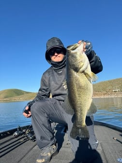 Fishing in Los Angeles, California
