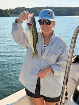 Fishing in Stokesdale, North Carolina