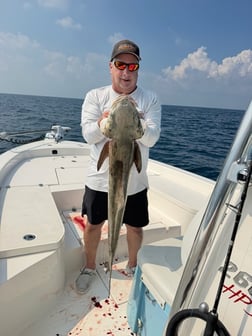 Fishing in Key West, Florida