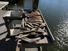 Fishing in New Orleans, Louisiana