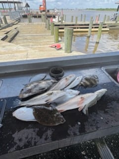 Fishing in Lake Charles, Louisiana