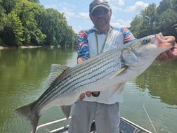 Fishing in Mt. Juliet, Tennessee